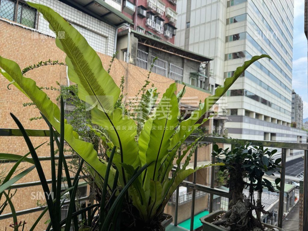 龍門實小旁土地持份大公寓房屋室內格局與周邊環境