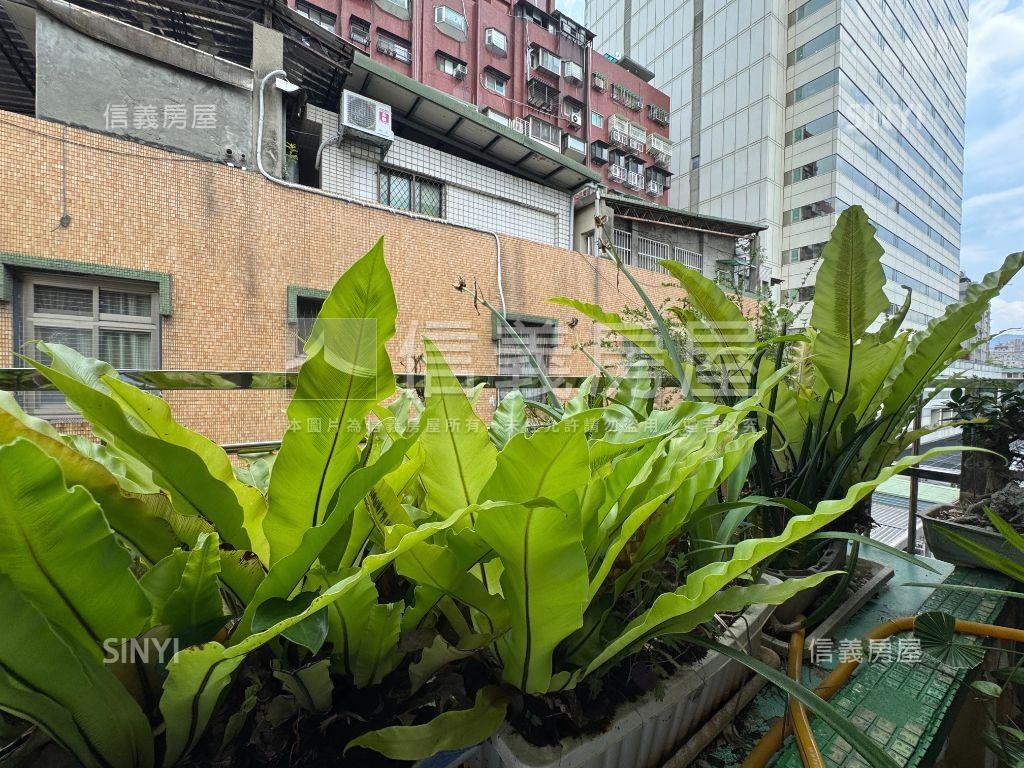 龍門實小旁土地持份大公寓房屋室內格局與周邊環境