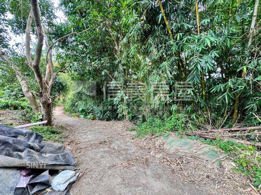 大內約２．６９分優質農地房屋室內格局與周邊環境