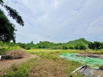 大內約２．６９分優質農地