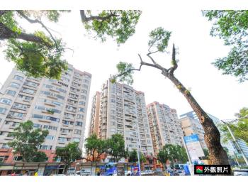 榮星新城高樓綠意盎然