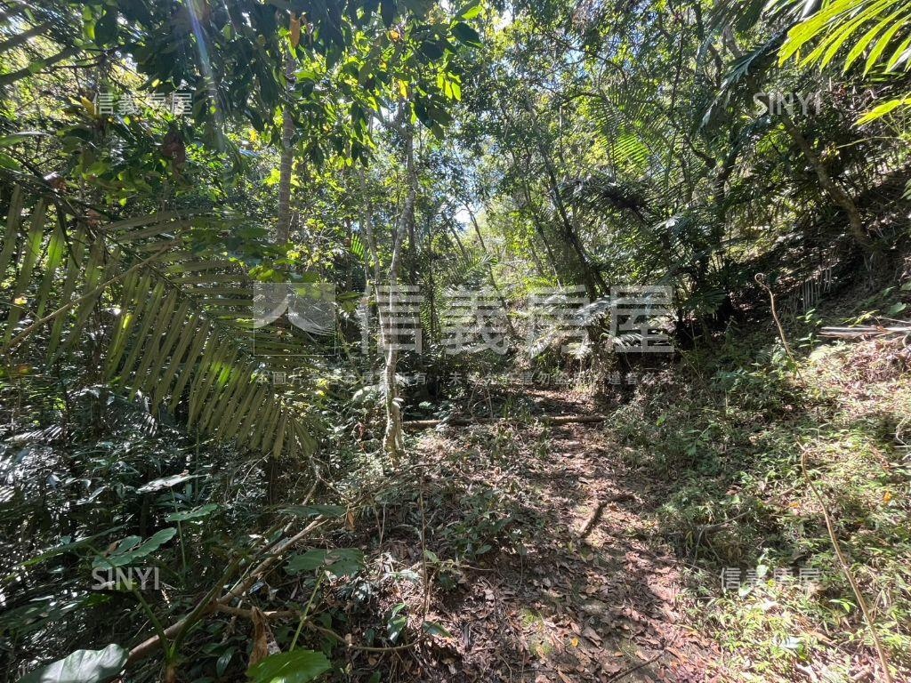 稀有南投中寮後寮段土地房屋室內格局與周邊環境