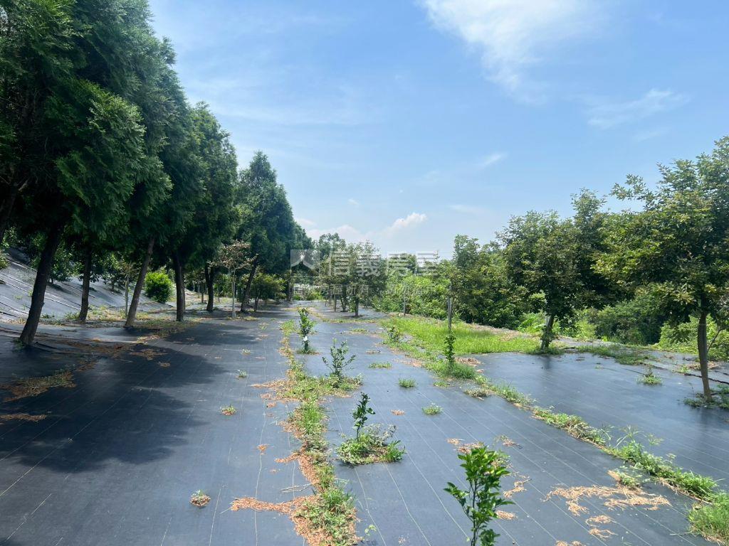 苗栗悠閒乾淨農牧用地房屋室內格局與周邊環境