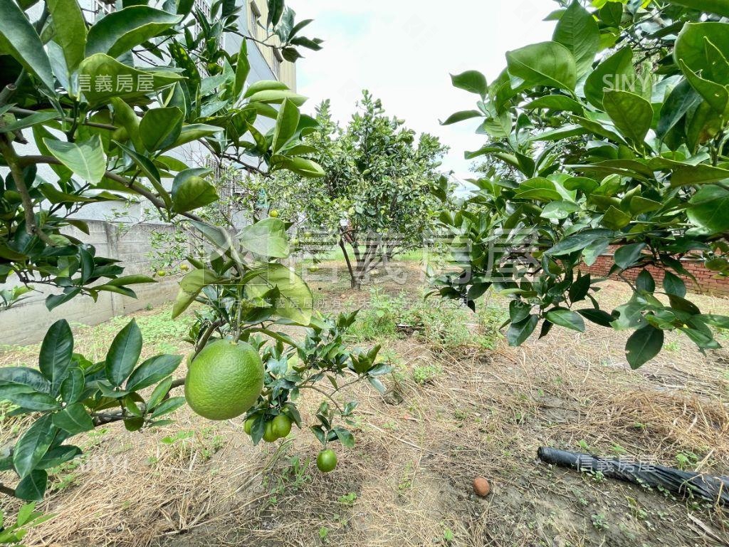 麻豆｜方正住宅用地房屋室內格局與周邊環境