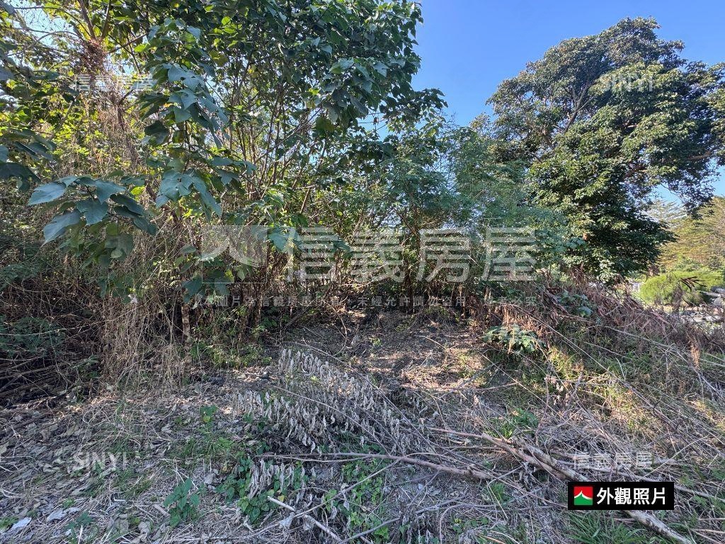 漁光段持分地房屋室內格局與周邊環境
