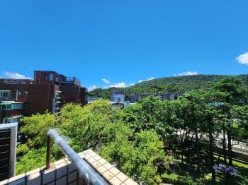 ┐逸園┌山景明亮樓中樓
