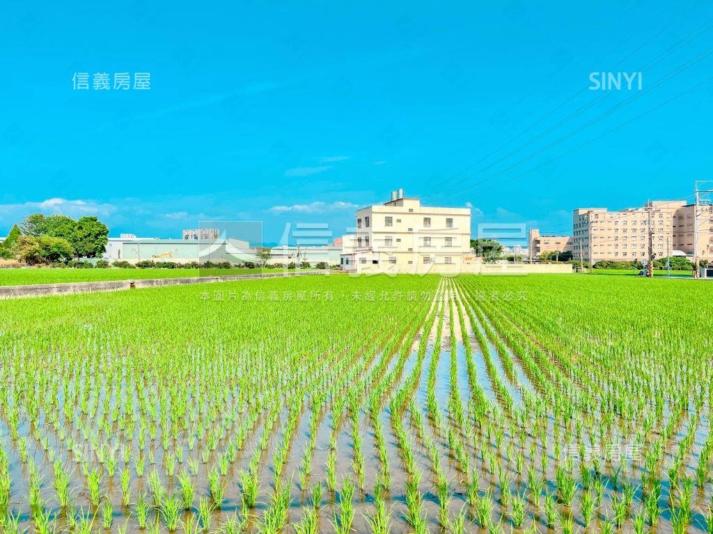 大雅親家透天！您的首選！房屋室內格局與周邊環境