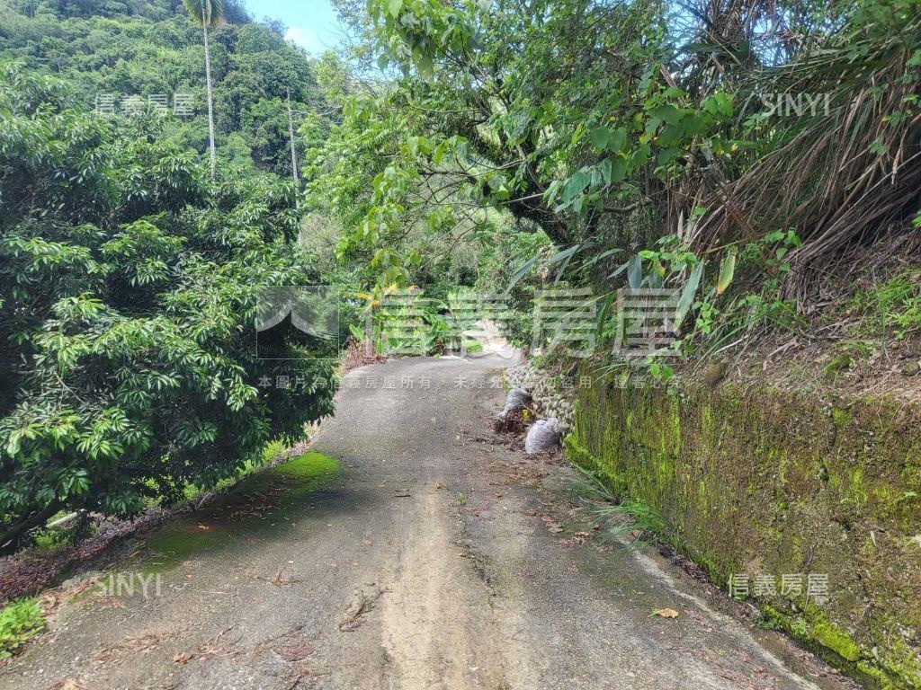 霧峰低總價土地房屋室內格局與周邊環境