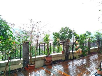 伴山別墅大庭院