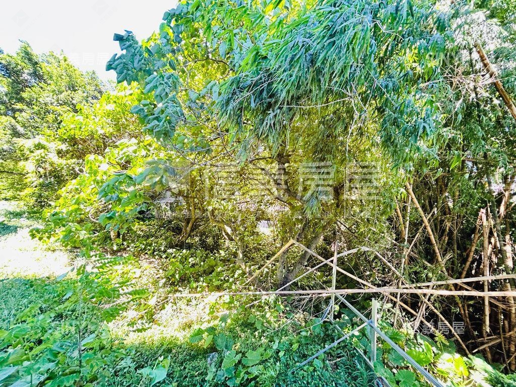 藝大ＭＵＣＨ稀有釋出房屋室內格局與周邊環境