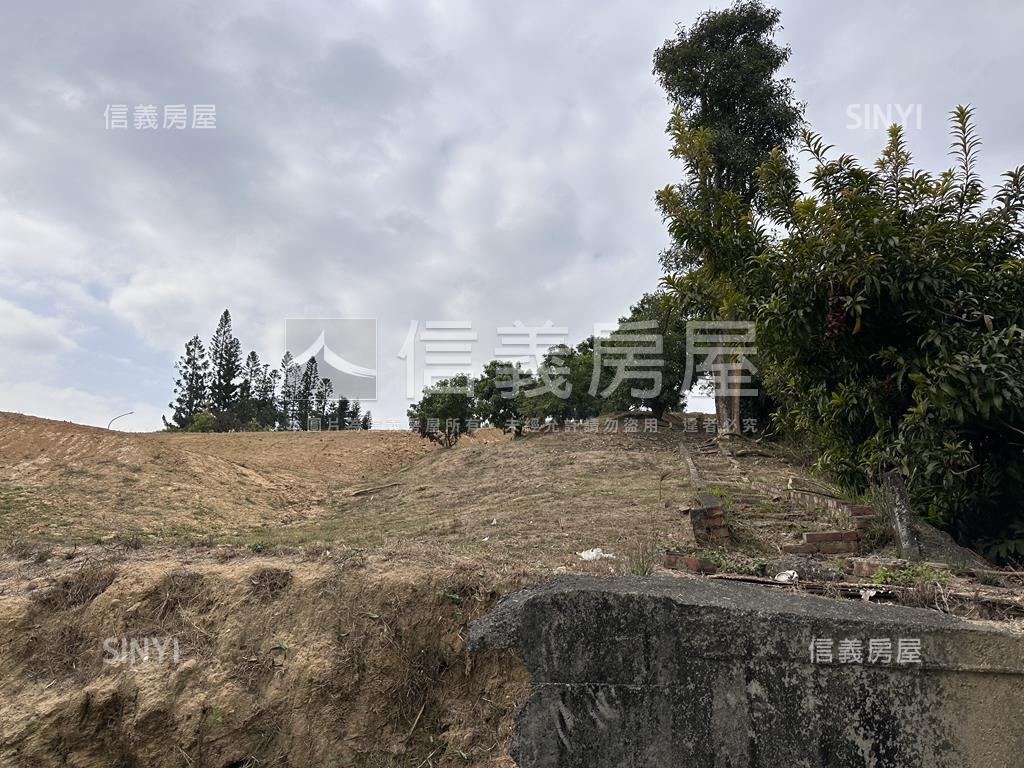 鳥松埔嶺段臨路有電５分地房屋室內格局與周邊環境