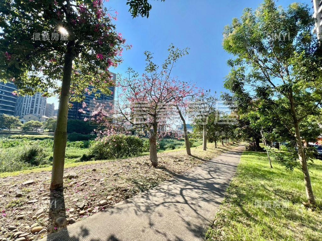 【預售】青埔美術水公園房屋室內格局與周邊環境
