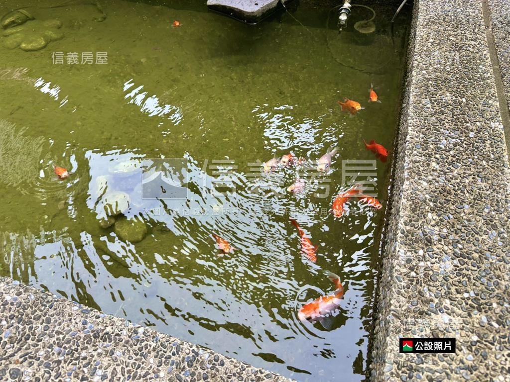 ✨美術館貝多芬三房平車房屋室內格局與周邊環境