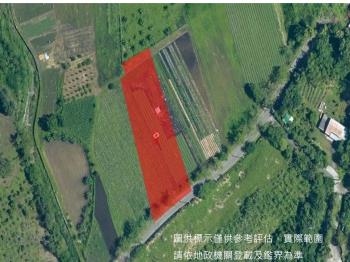 臨路方正農地約９１９坪