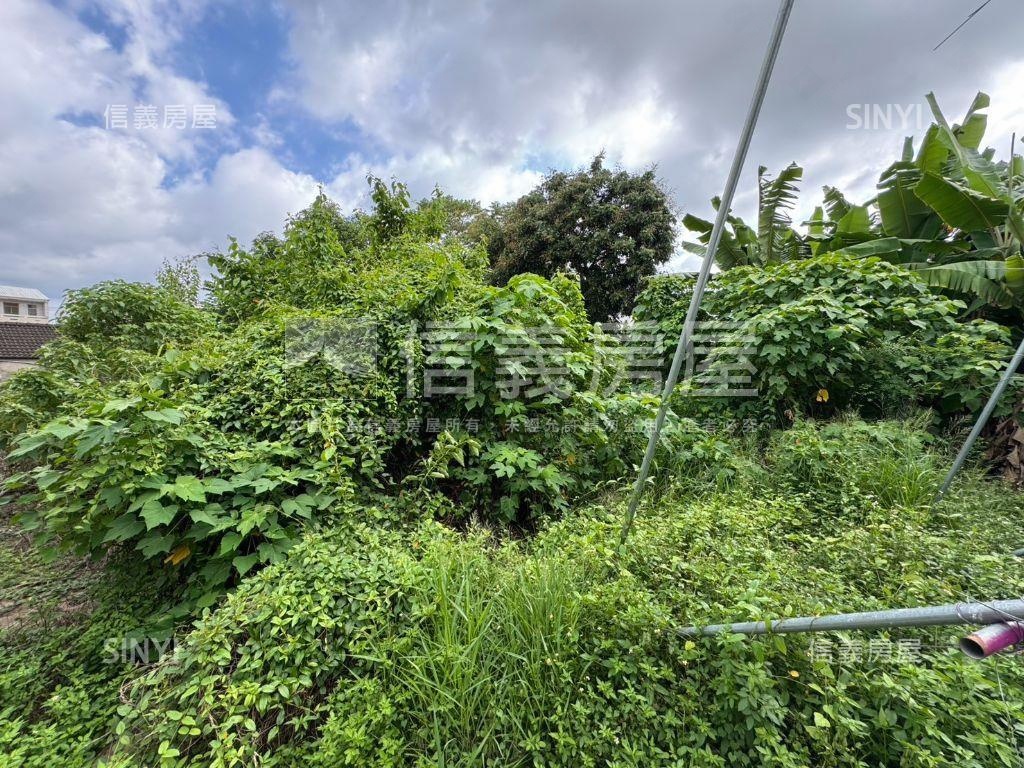 山上區土地B房屋室內格局與周邊環境