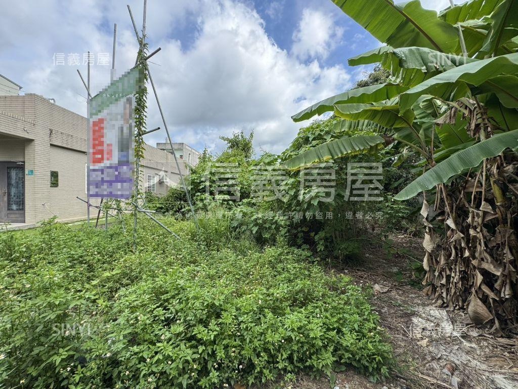 山上區土地B房屋室內格局與周邊環境