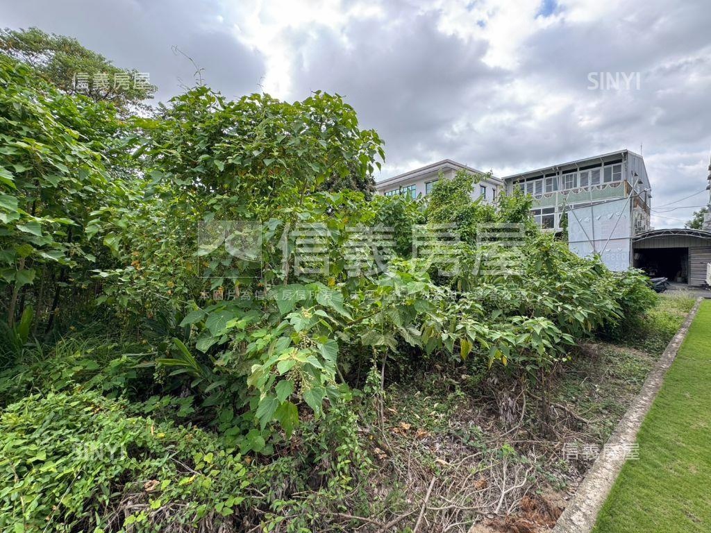 山上區土地B房屋室內格局與周邊環境