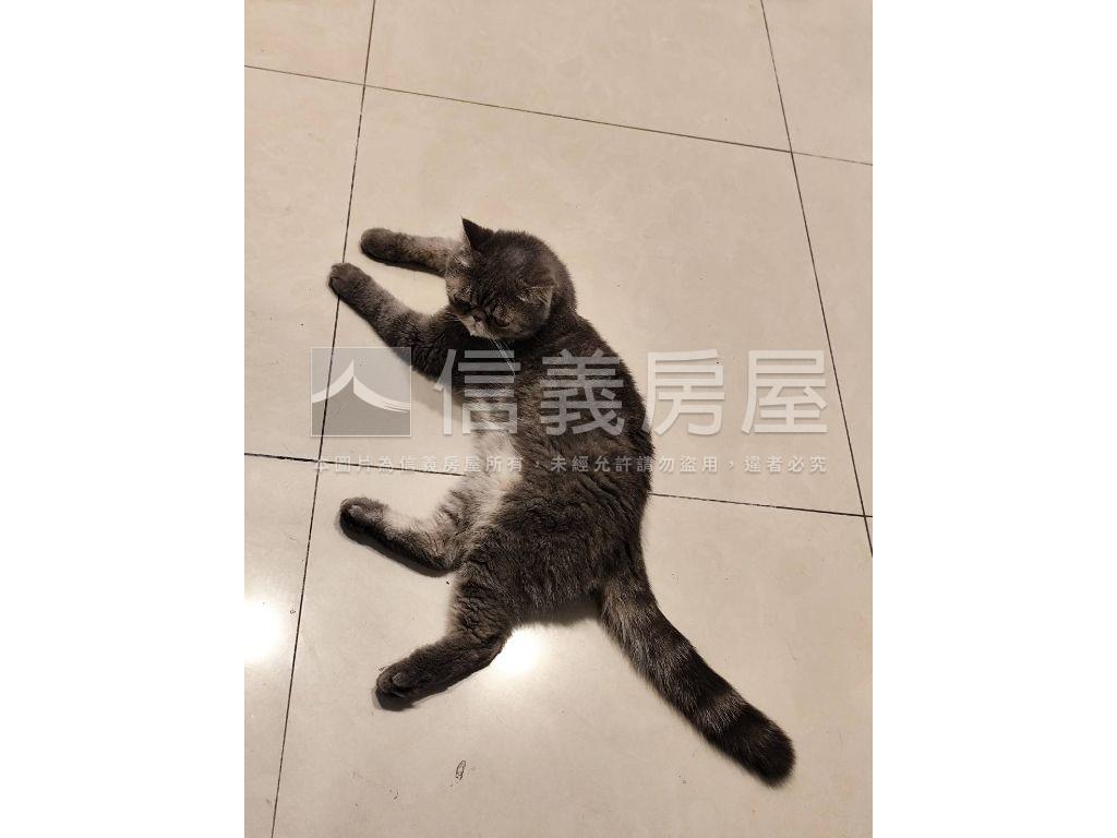 權泰一樓大庭院房屋室內格局與周邊環境