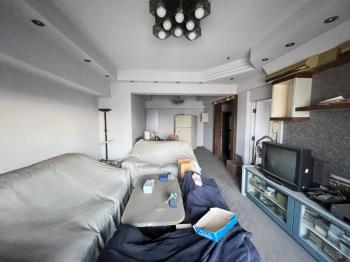 民生皇家高樓復古美宅平車