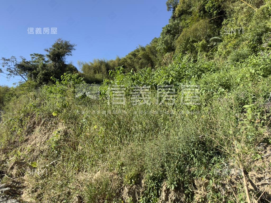 東勢開心農場房屋室內格局與周邊環境