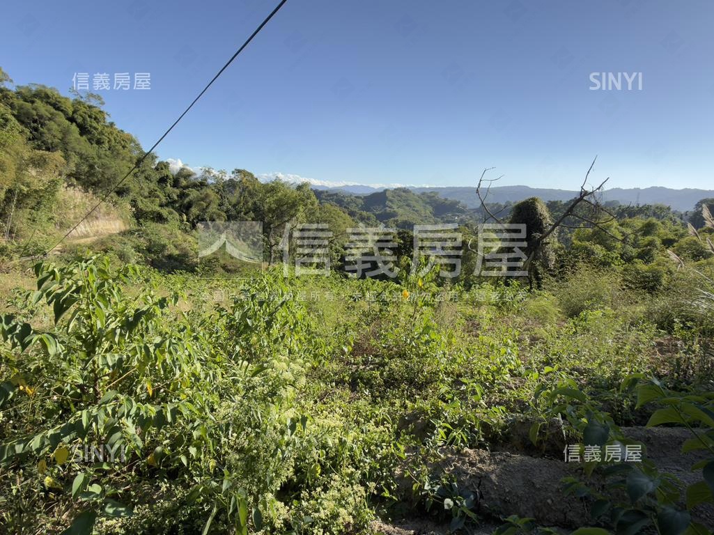 東勢開心農場房屋室內格局與周邊環境