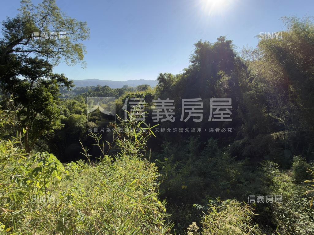 東勢開心農場房屋室內格局與周邊環境