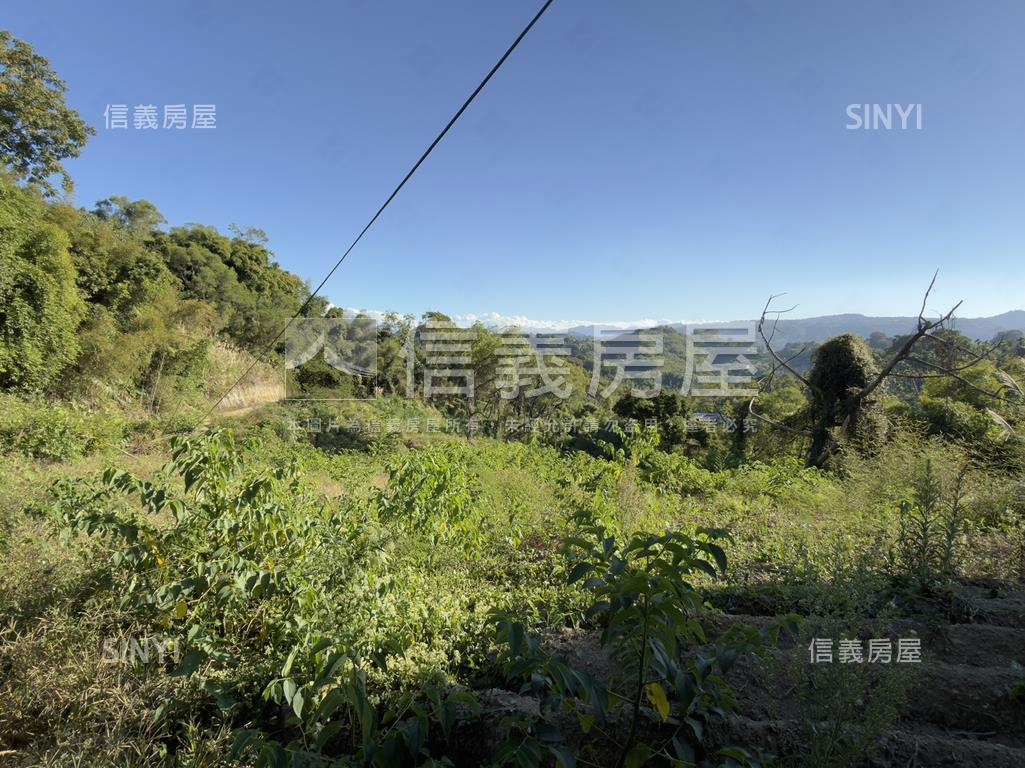 東勢開心農場房屋室內格局與周邊環境