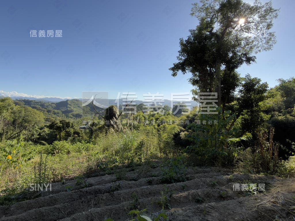 東勢開心農場房屋室內格局與周邊環境