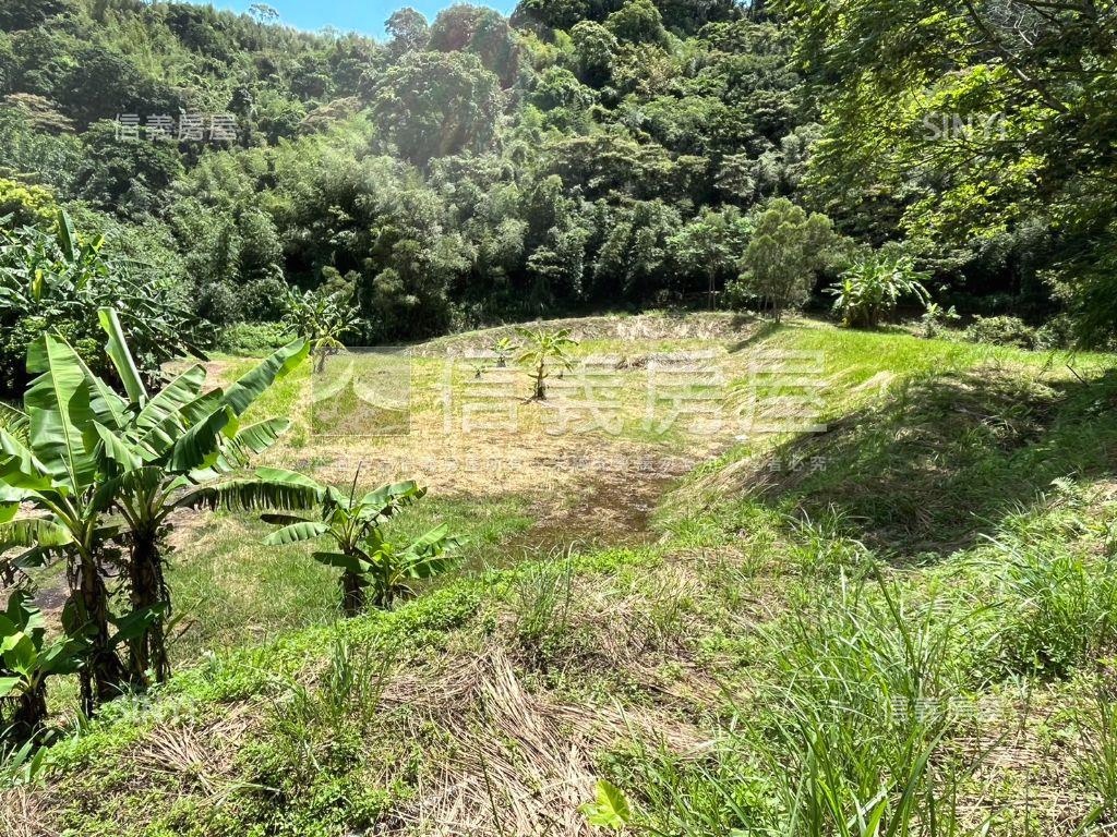 苗栗三灣樂活農地房屋室內格局與周邊環境