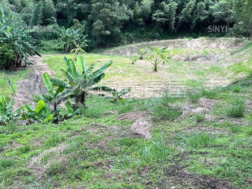 苗栗三灣樂活農地房屋室內格局與周邊環境