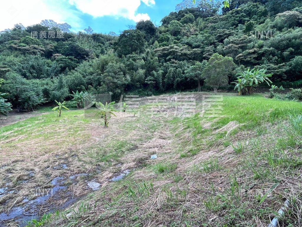 苗栗三灣樂活農地房屋室內格局與周邊環境