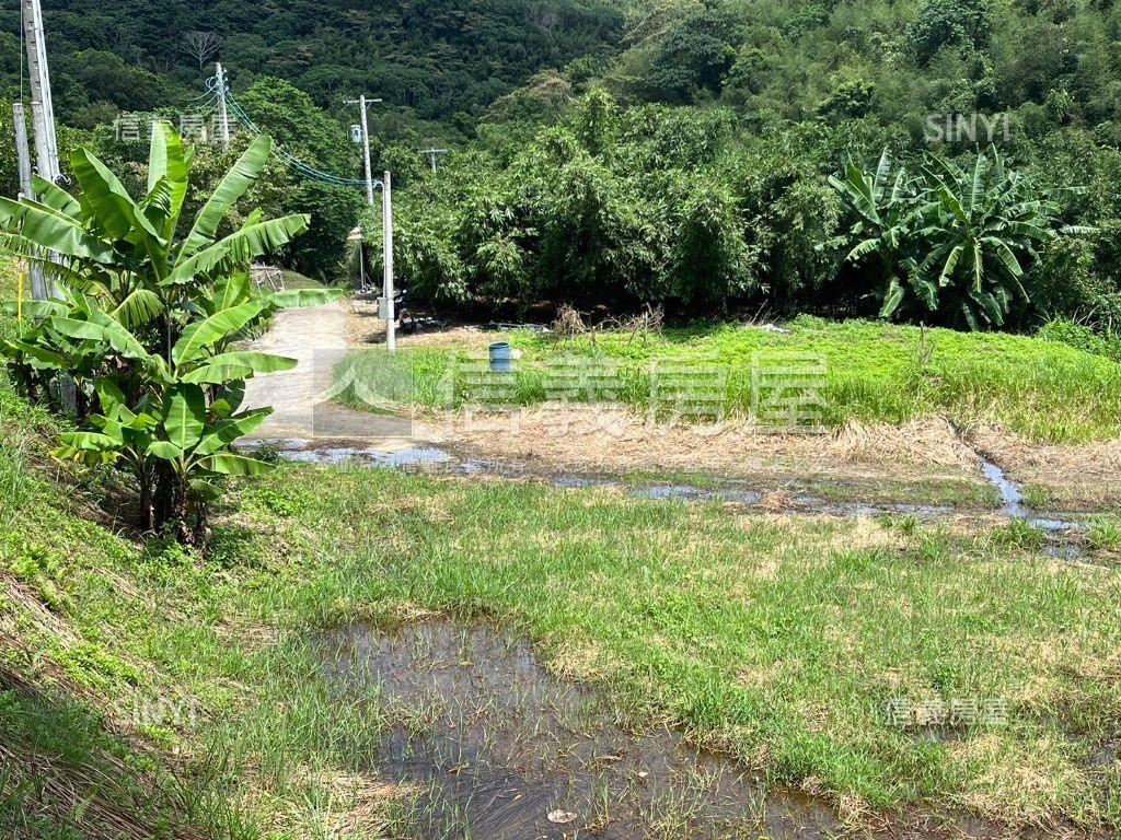苗栗三灣樂活農地房屋室內格局與周邊環境