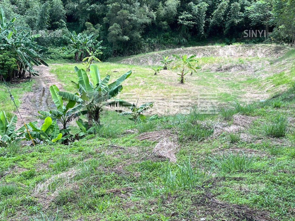 苗栗三灣樂活農地房屋室內格局與周邊環境