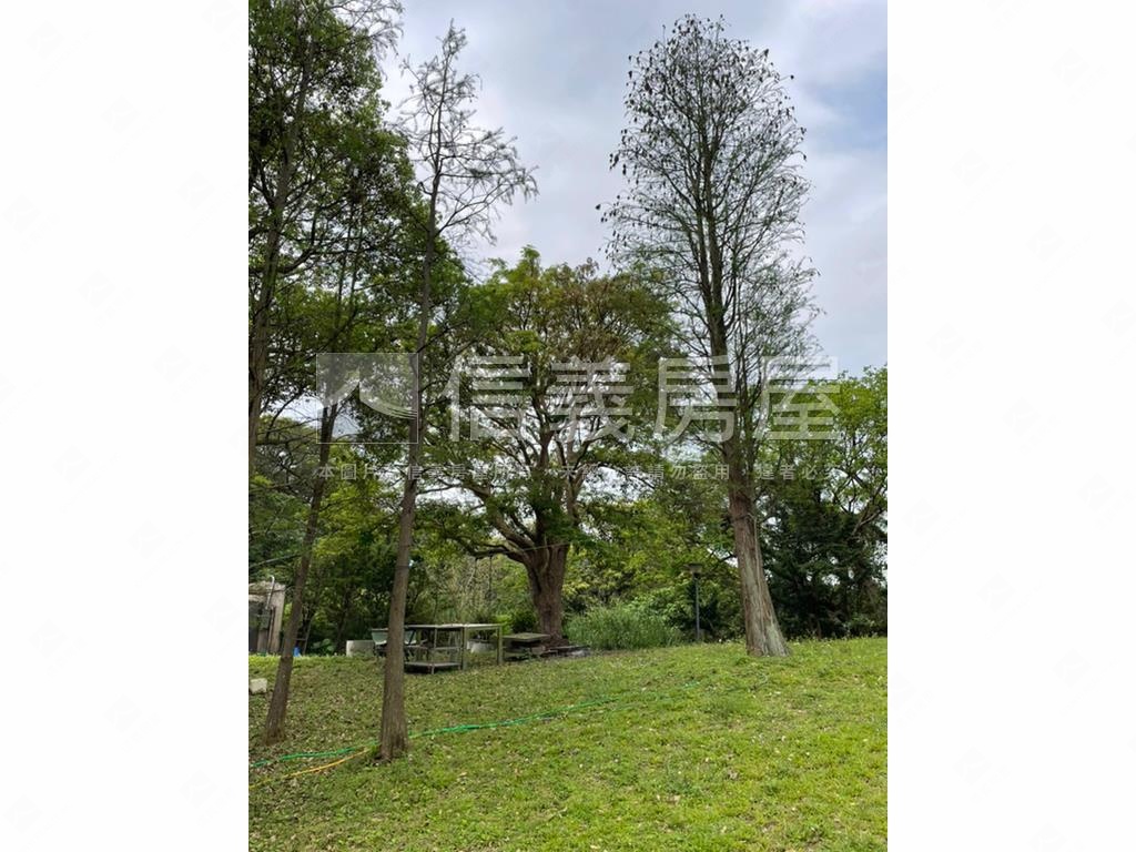 士林土地４４２５．３坪房屋室內格局與周邊環境