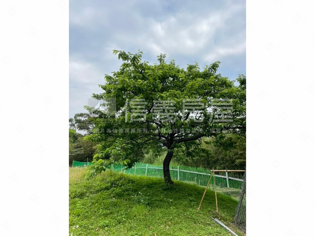 士林土地４４２５．３坪房屋室內格局與周邊環境