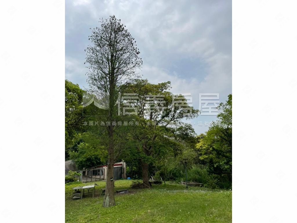 士林土地４４２５．３坪房屋室內格局與周邊環境