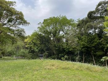 士林土地４４２５．３坪