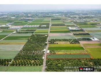 麻豆稀有方正約３分美農地