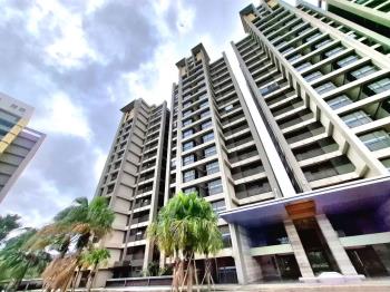 大器鳳凰水岸美河景