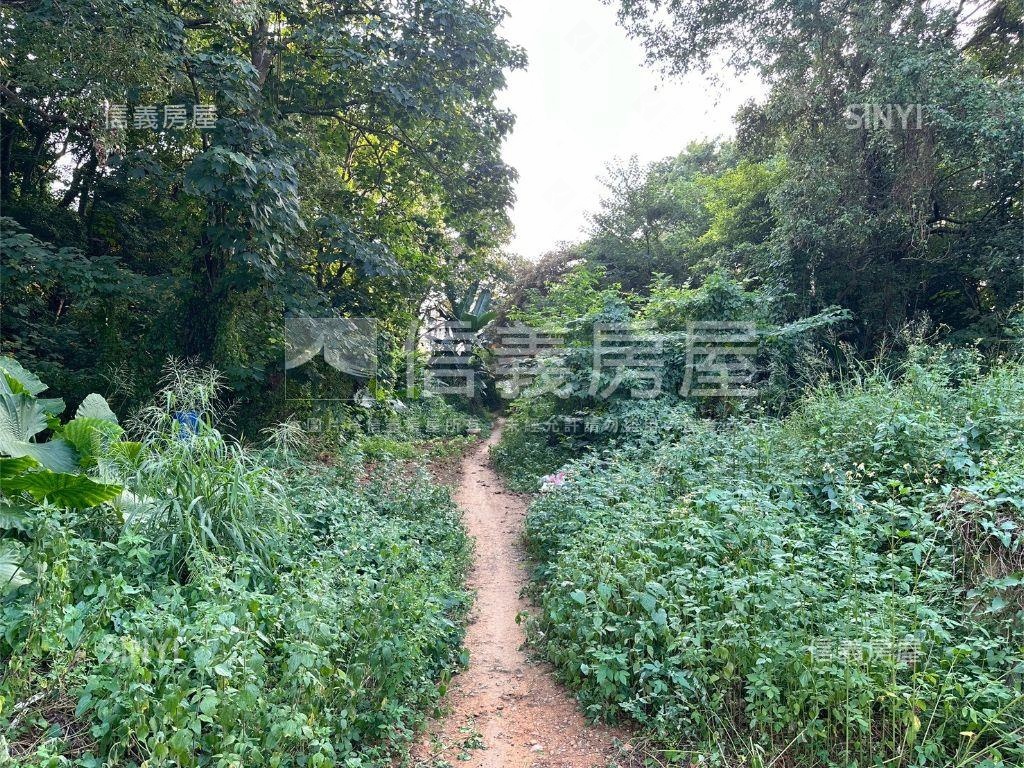 丙建方正土地房屋室內格局與周邊環境