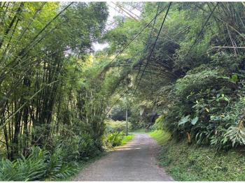 石碇紙寮坑步道稀有土地