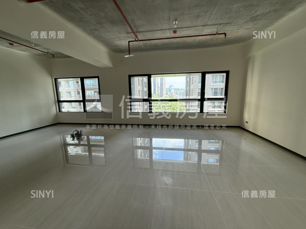 信義松雍高樓景觀邸房屋室內格局與周邊環境