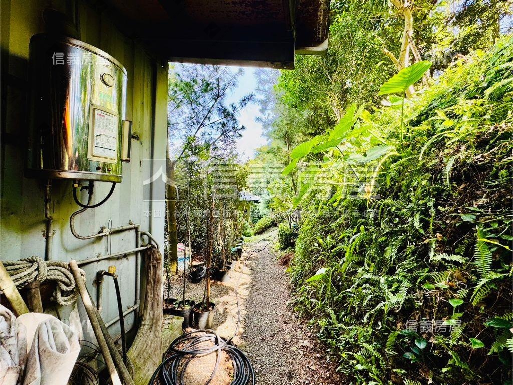 草屯優質農舍房屋室內格局與周邊環境
