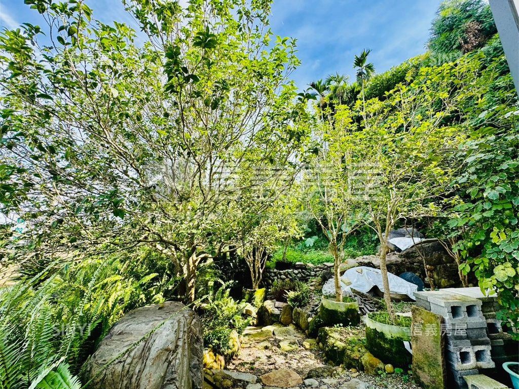 草屯優質農舍房屋室內格局與周邊環境