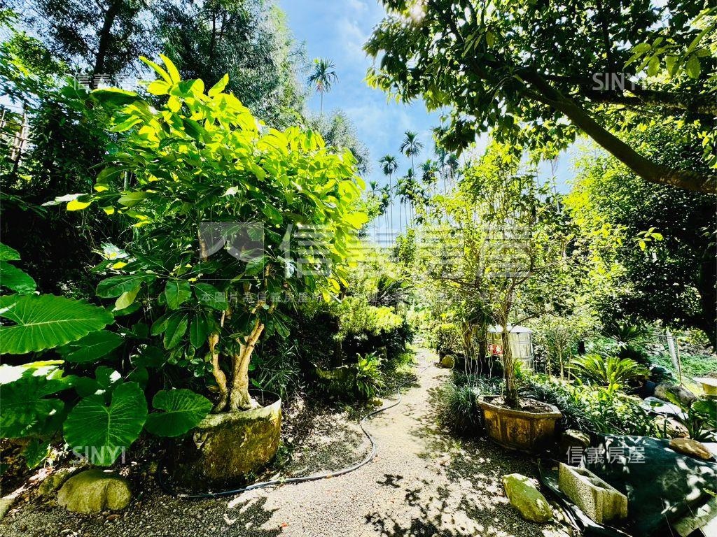 草屯優質農舍房屋室內格局與周邊環境
