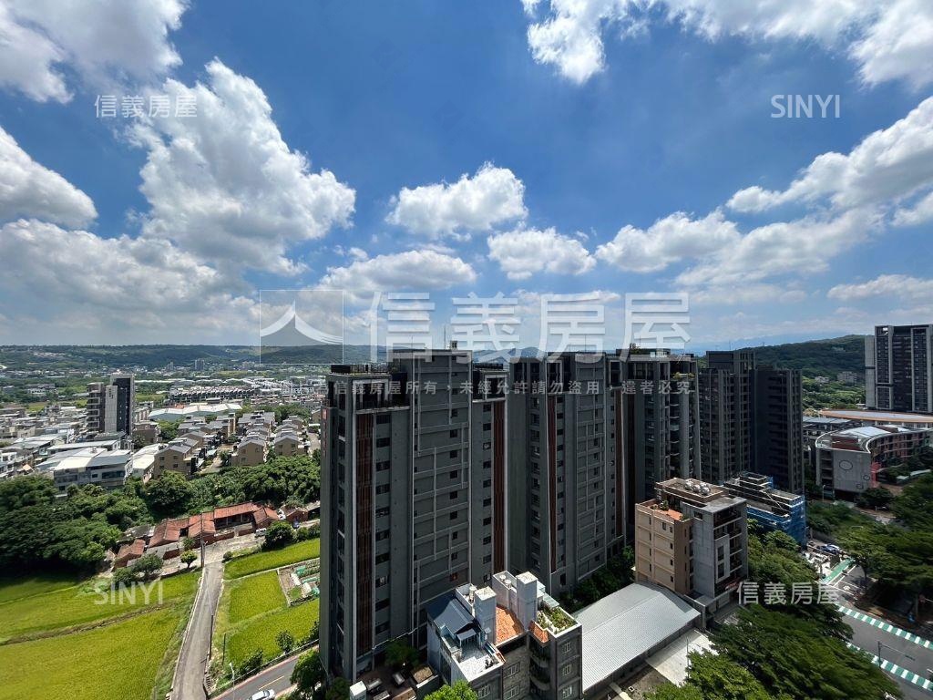 椰林昂遼闊山景大三房房屋室內格局與周邊環境