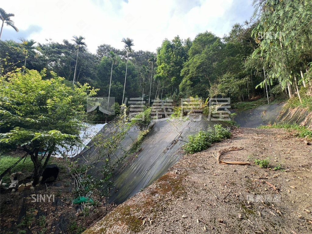 埔里快樂田園小天堂房屋室內格局與周邊環境