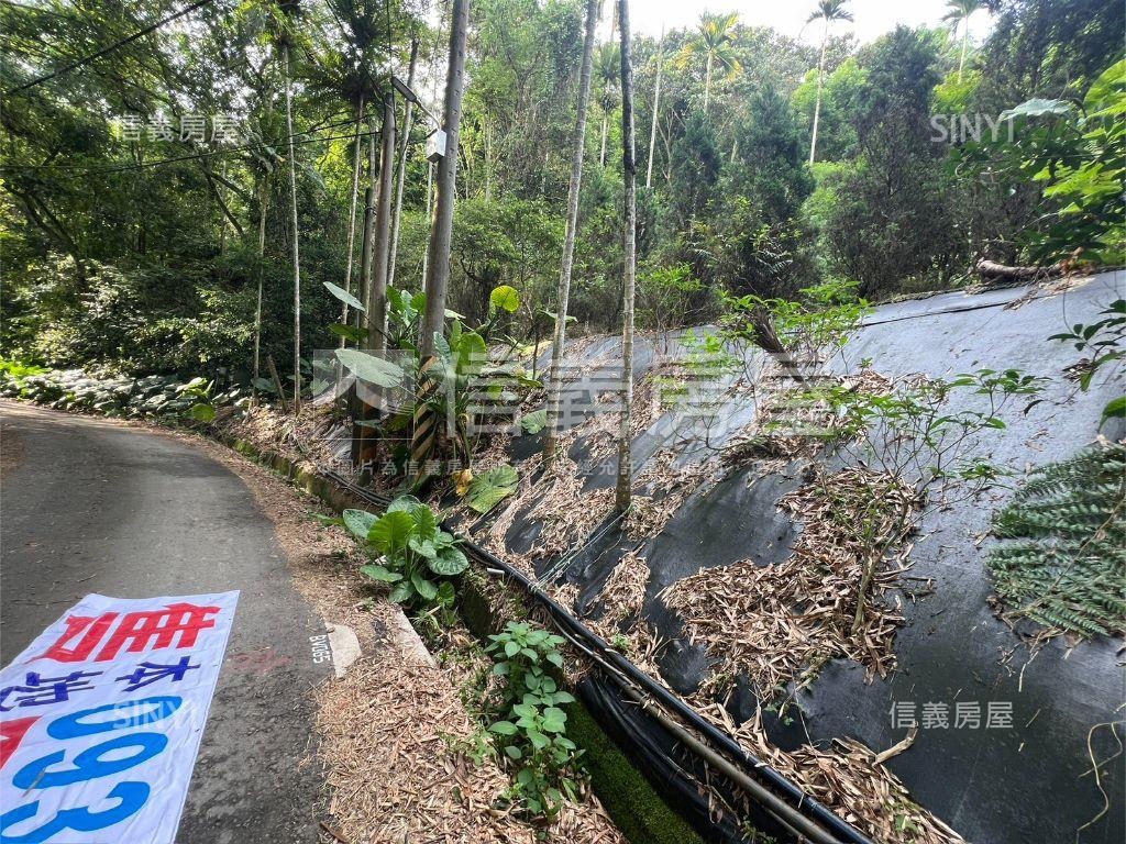 埔里快樂田園小天堂房屋室內格局與周邊環境