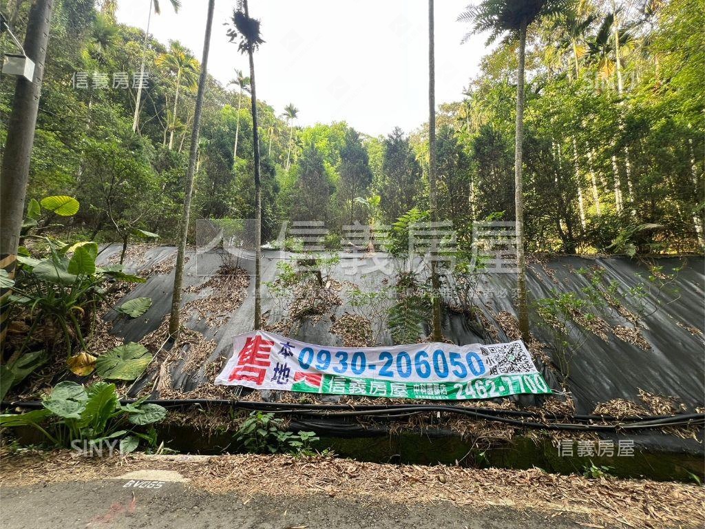 埔里快樂田園小天堂房屋室內格局與周邊環境