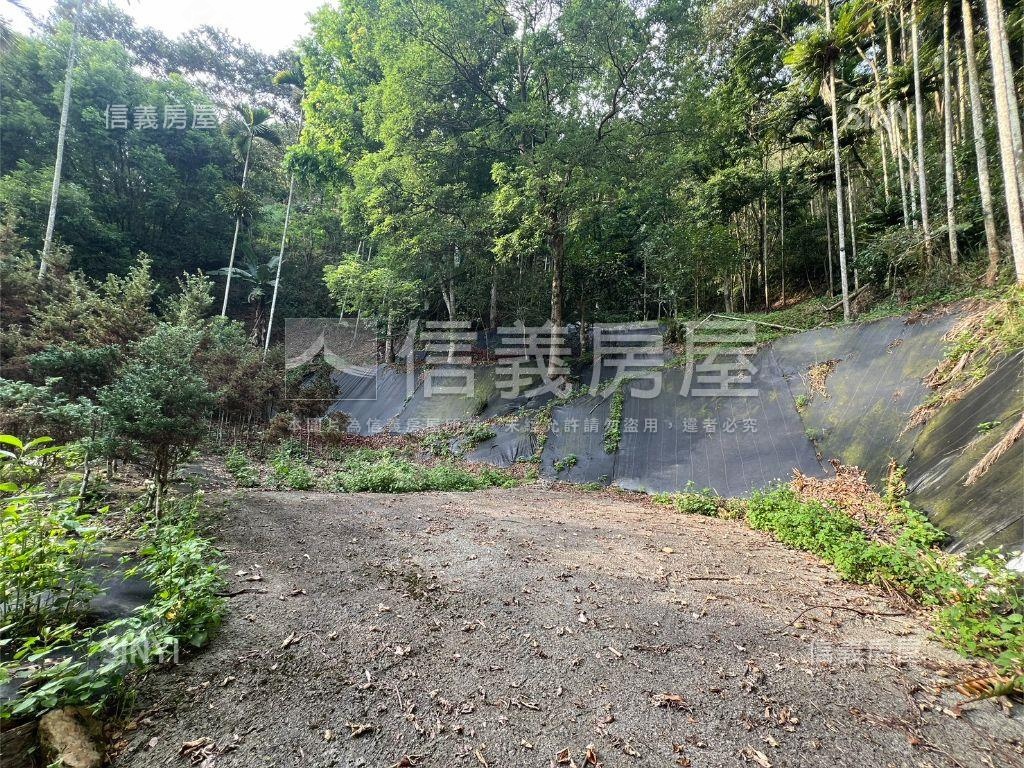 埔里快樂田園小天堂房屋室內格局與周邊環境